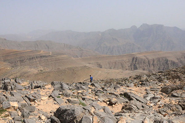 mountain safari top view